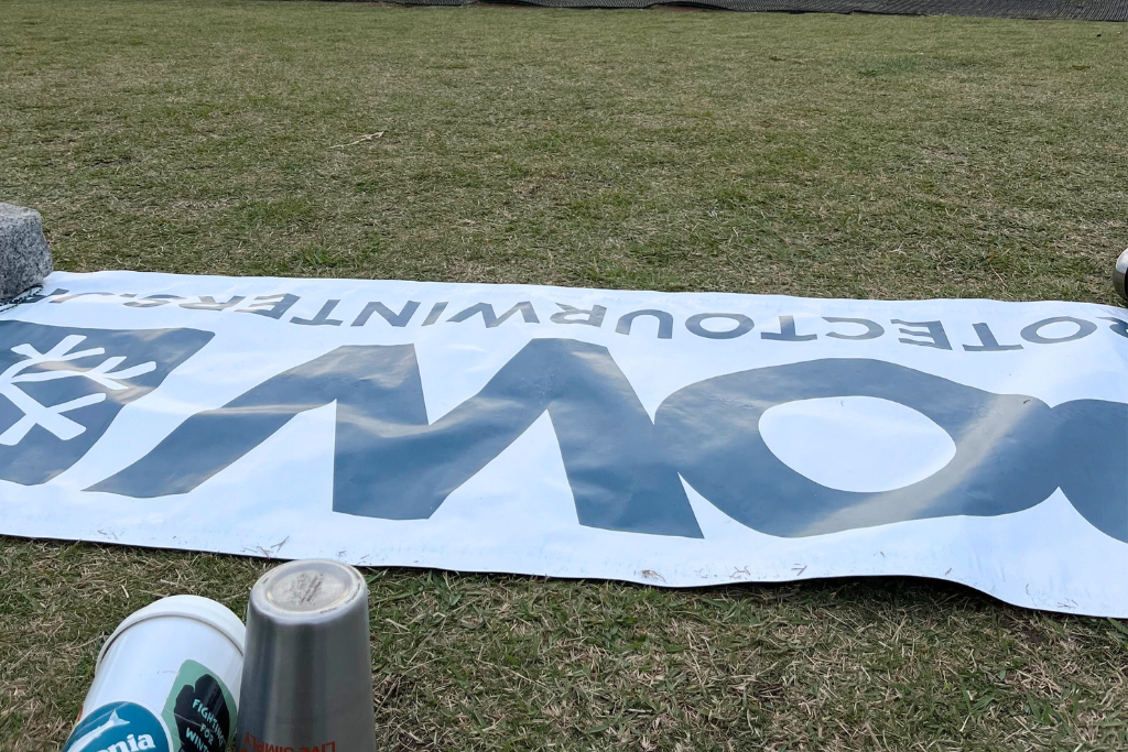 カーニバル湘南の様子